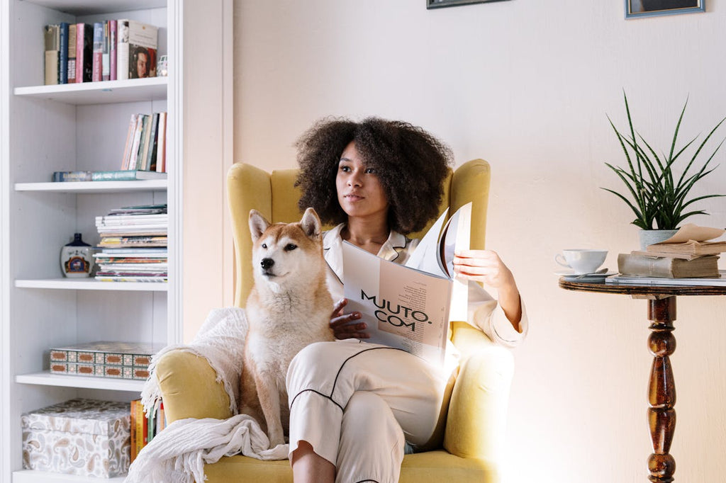 Comment nettoyer un fauteuil en cuir ?