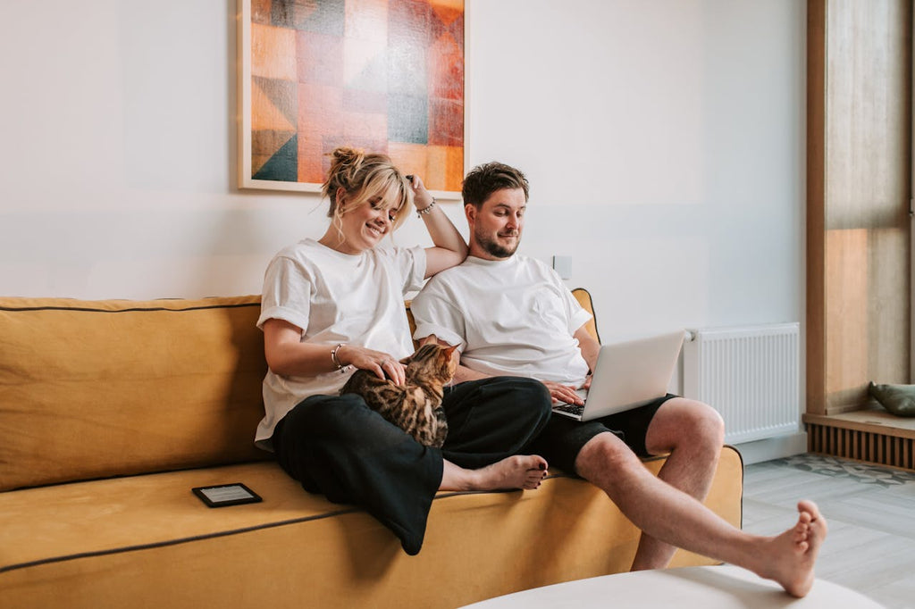 Quel canapé quand on a un chat ?